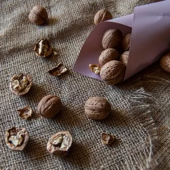 Pansoti with Walnut Sauce
